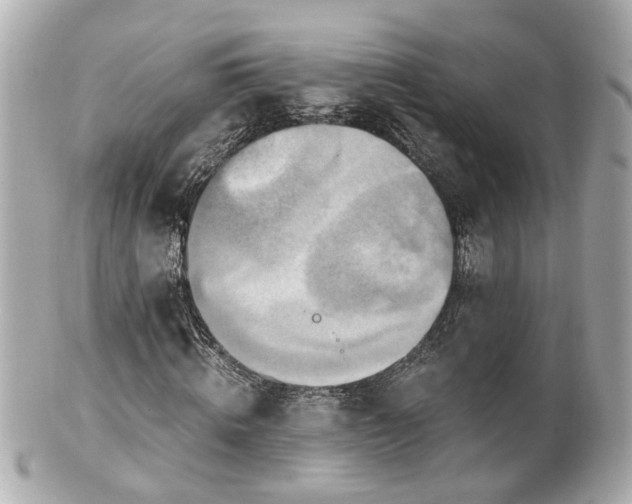 X0000100900820200807011218