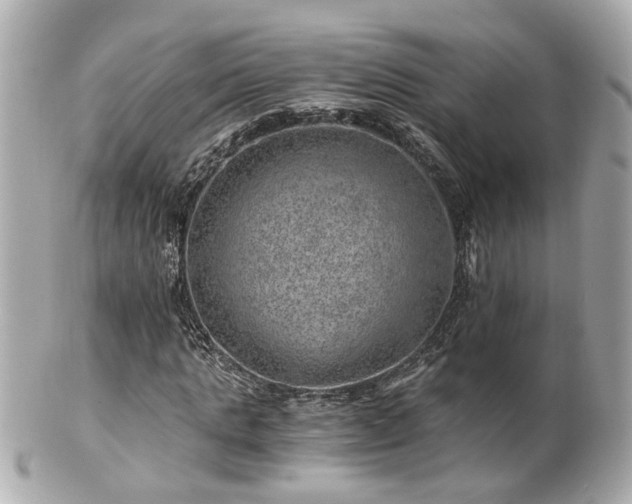 X0000100900821200807011218