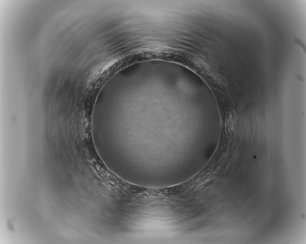 X0000100900822200807011218