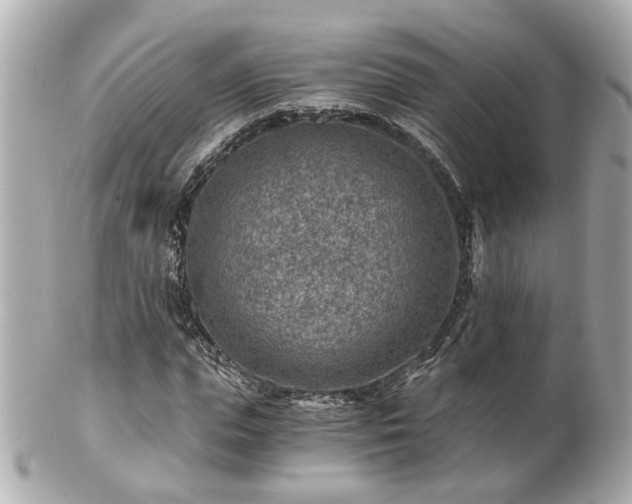 X0000100900823200807011218