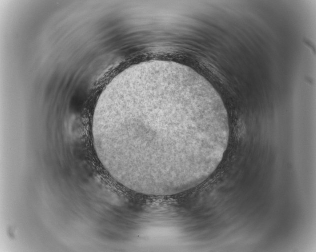 X0000100900824200807011218