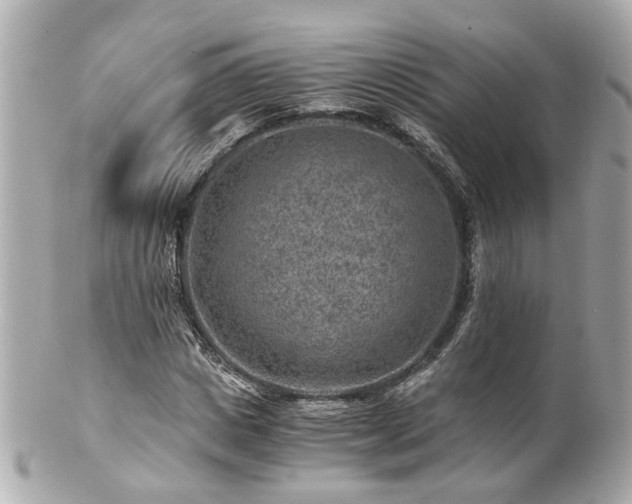 X0000100900825200807011218