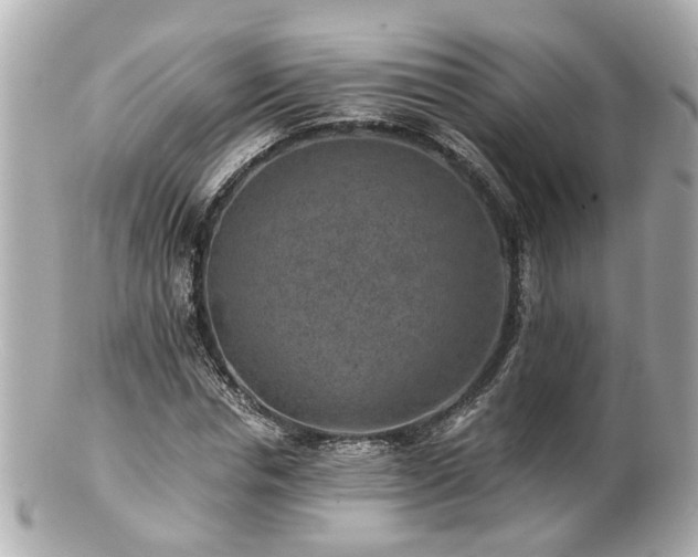 X0000100900826200807011218