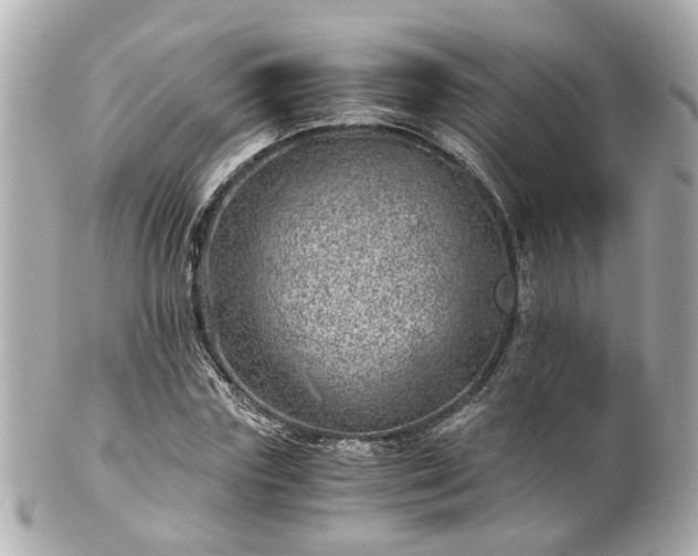 X0000100900827200807011218