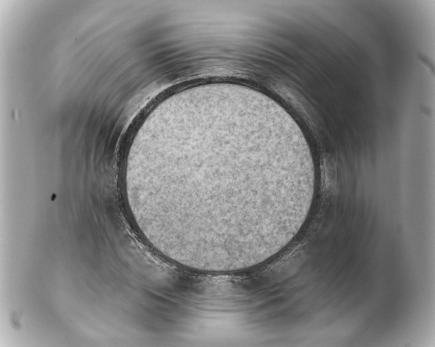 X0000100900828200807011218