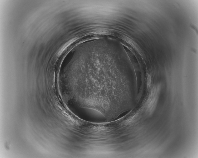 X0000100900829200807011218