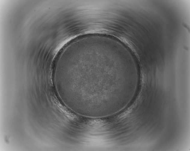 X0000100900830200807011218