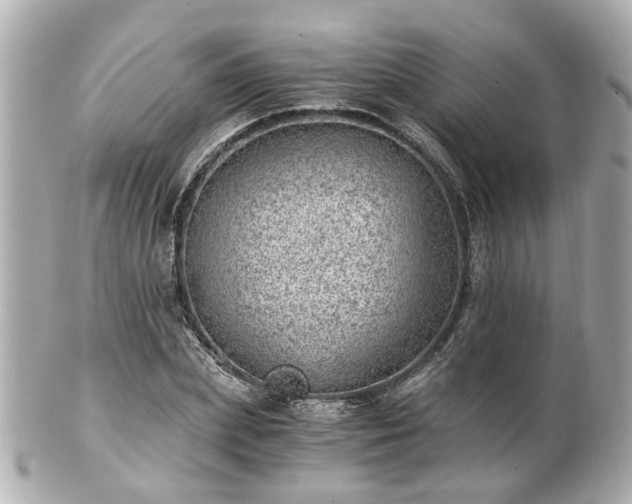 X0000100900831200807011218