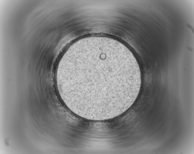 X0000100900832200807011218