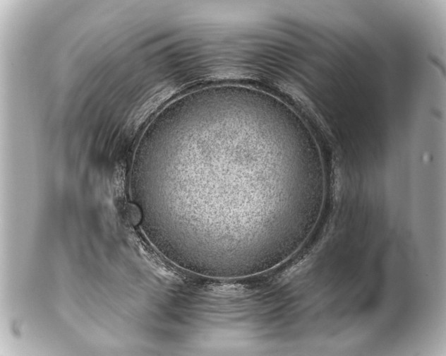 X0000100900833200807011218