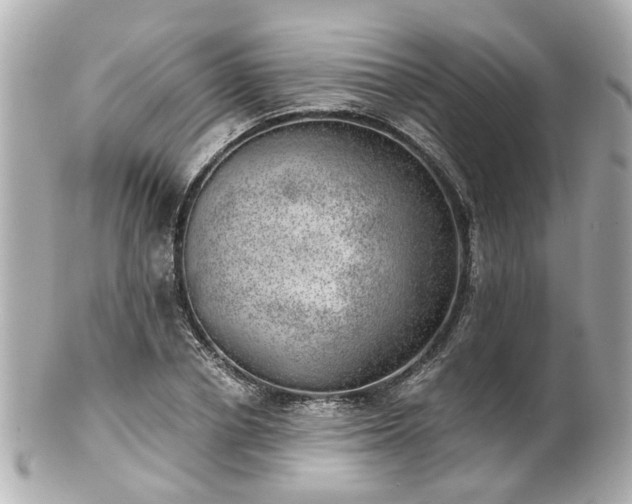 X0000100900834200807011218