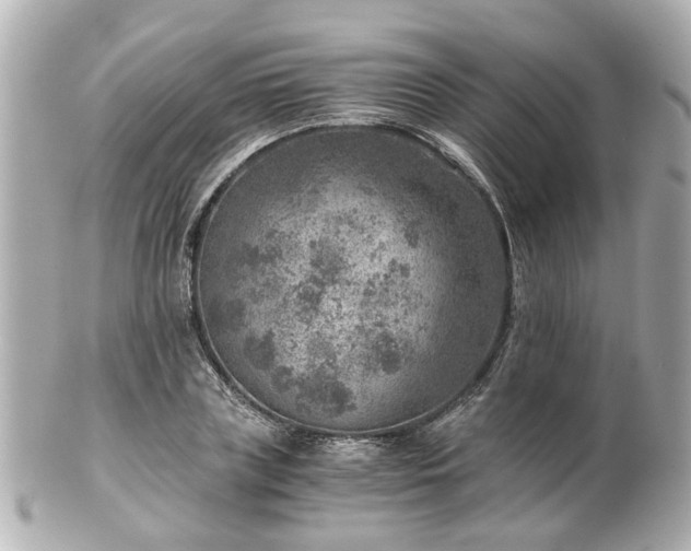 X0000100900835200807011218