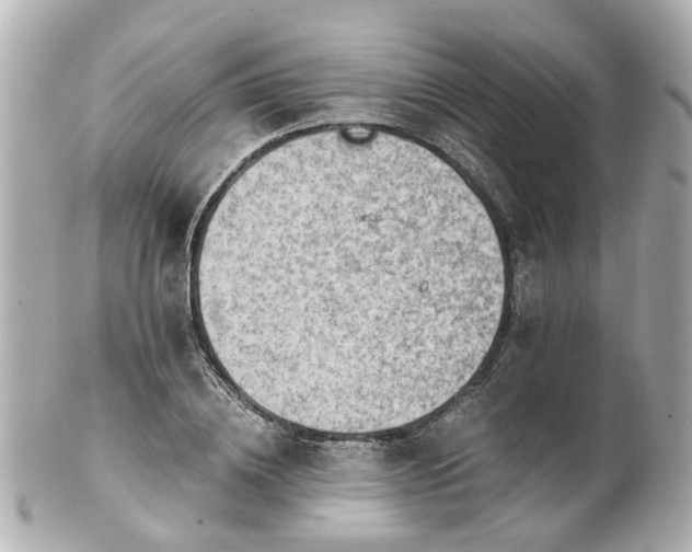 X0000100900836200807011218