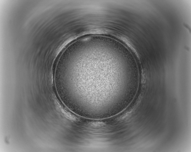 X0000100900837200807011218