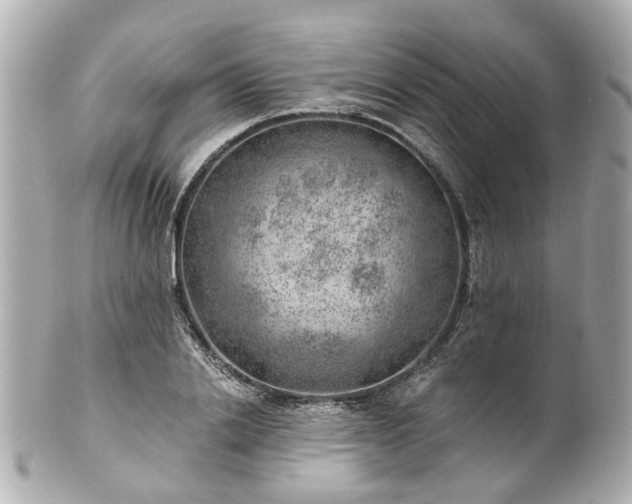 X0000100900838200807011218