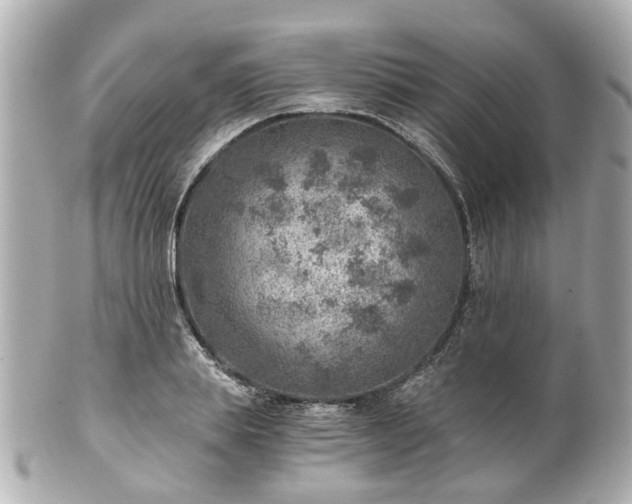 X0000100900839200807011218