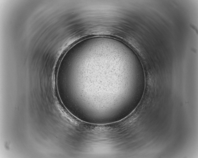 X0000100900840200807011218