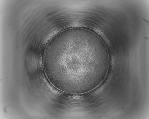 X0000100900841200807011218