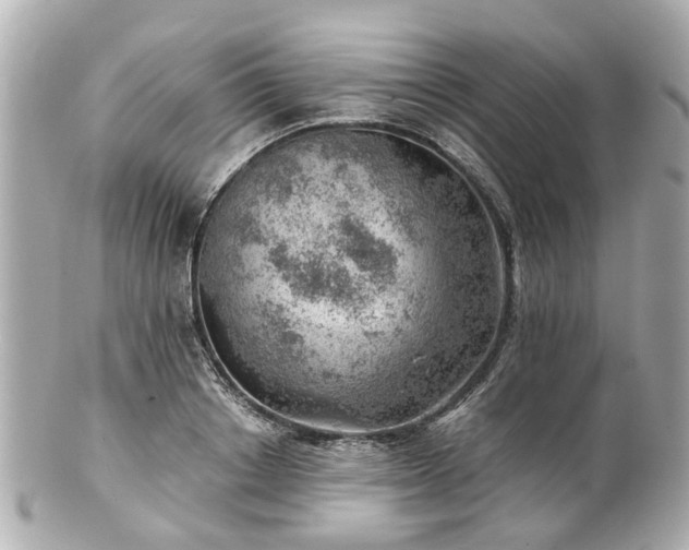 X0000100900842200807011218