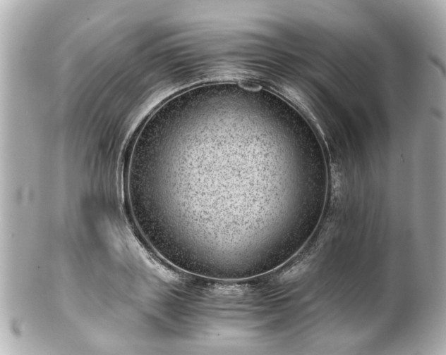 X0000100900843200807011218