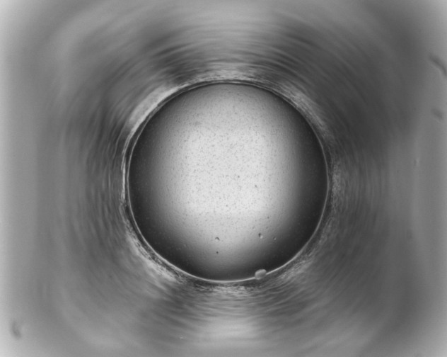 X0000100900844200807011218