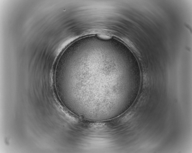 X0000100900846200807011218