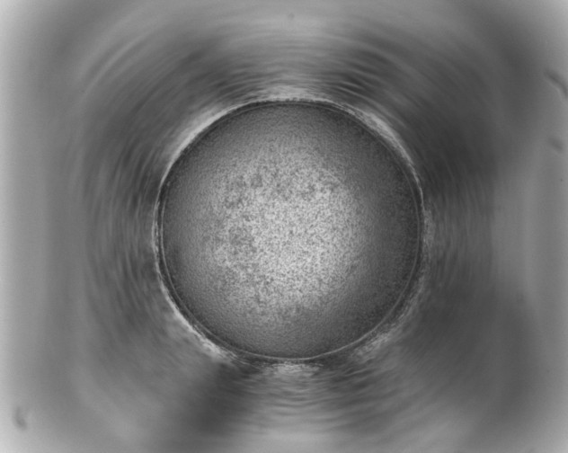 X0000100900847200807011218