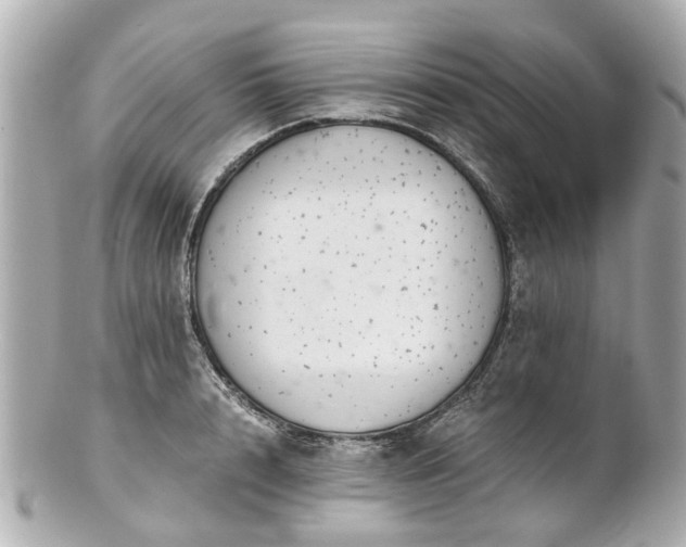 X0000100900848200807011218