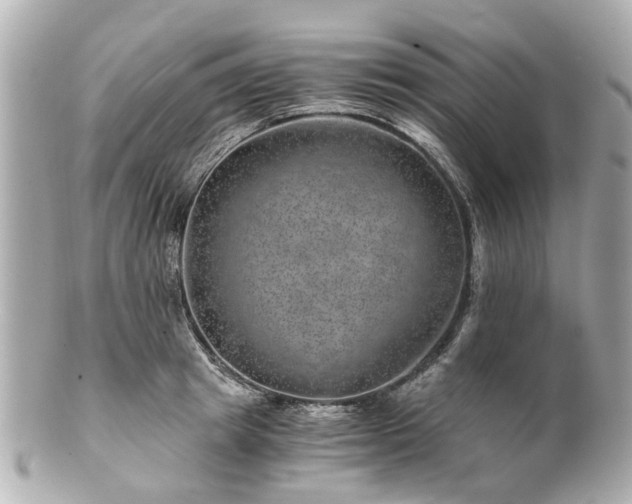 X0000100900849200807011218