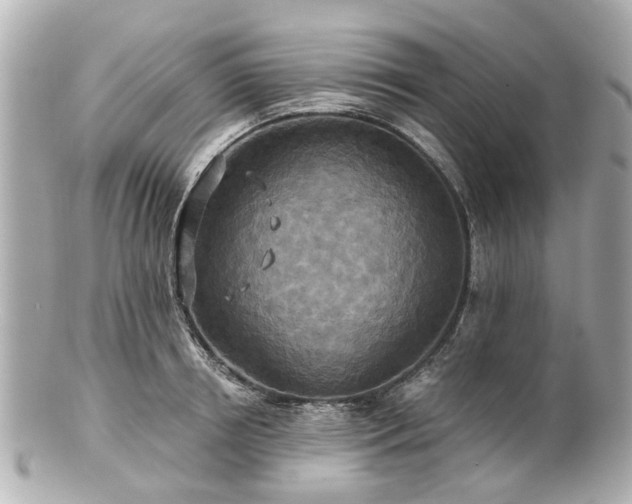 X0000100900850200807011218