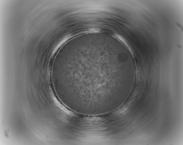 X0000100900851200807011218