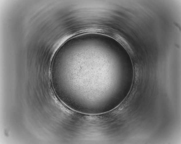 X0000100900852200807011218