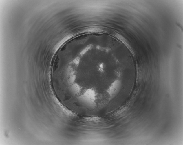 X0000100900853200807011219