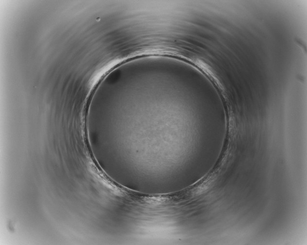 X0000100900854200807011219