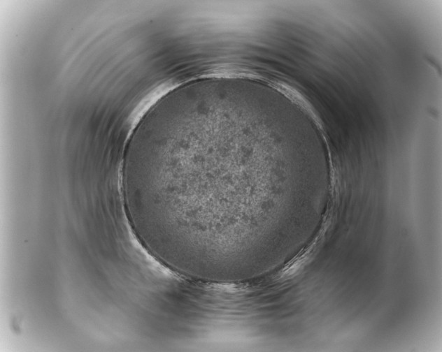 X0000100900855200807011219