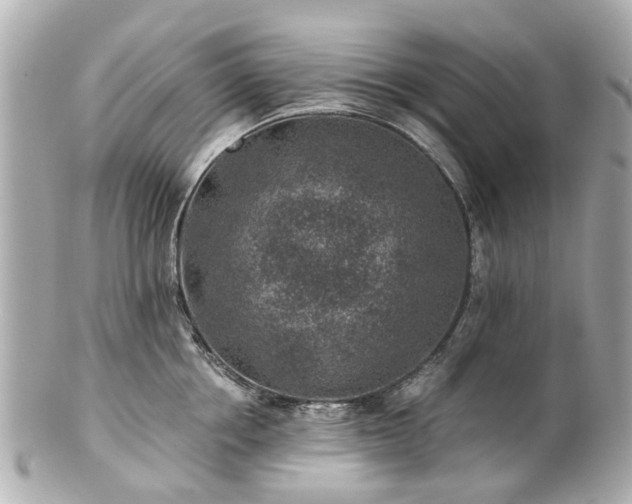 X0000100900858200807011219