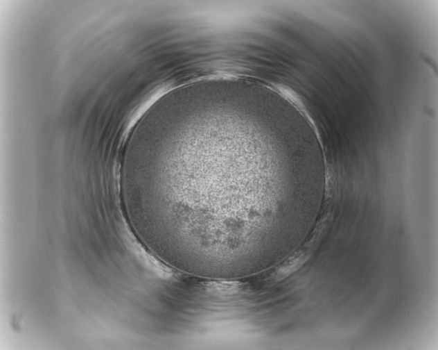 X0000100900859200807011219