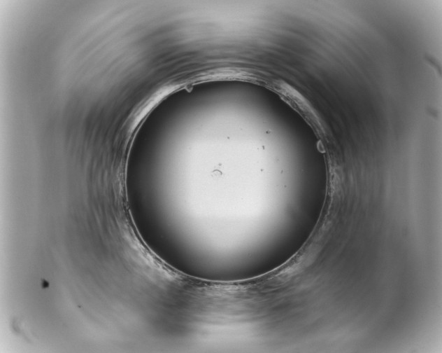 X0000100900860200807011219