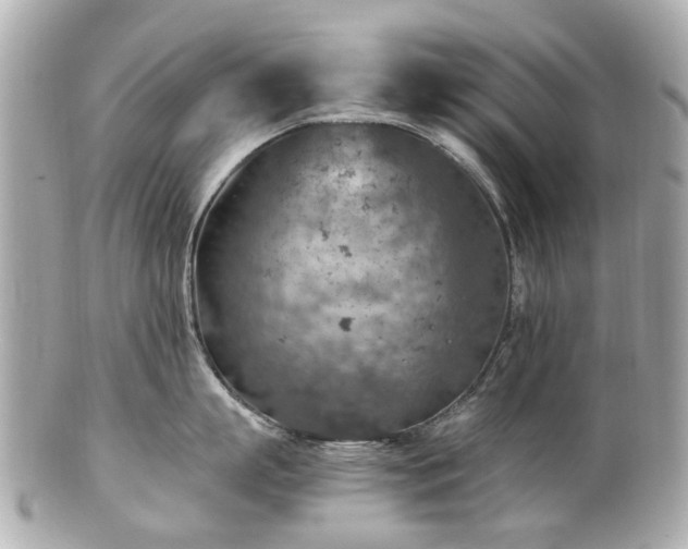 X0000100900863200807011219