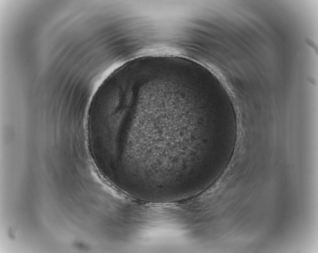 X0000100900864200807011219