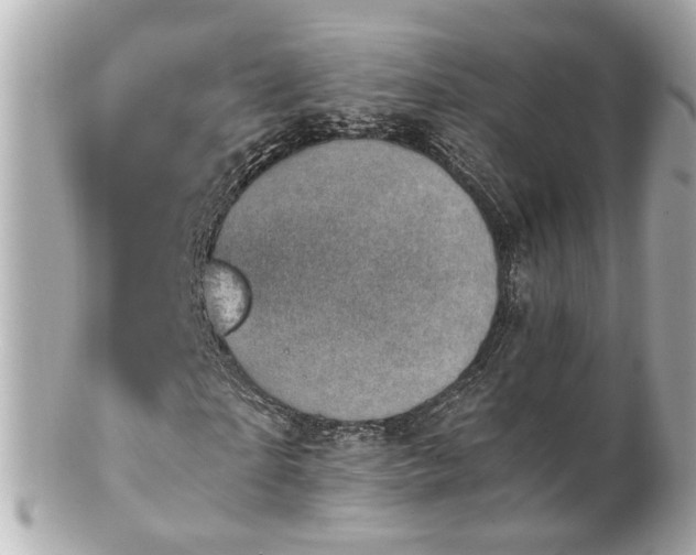 X0000100900865200807011218