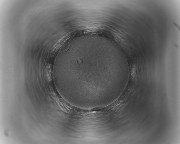 X0000100900868200807011218