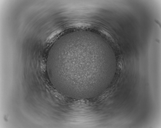 X0000100900869200807011218