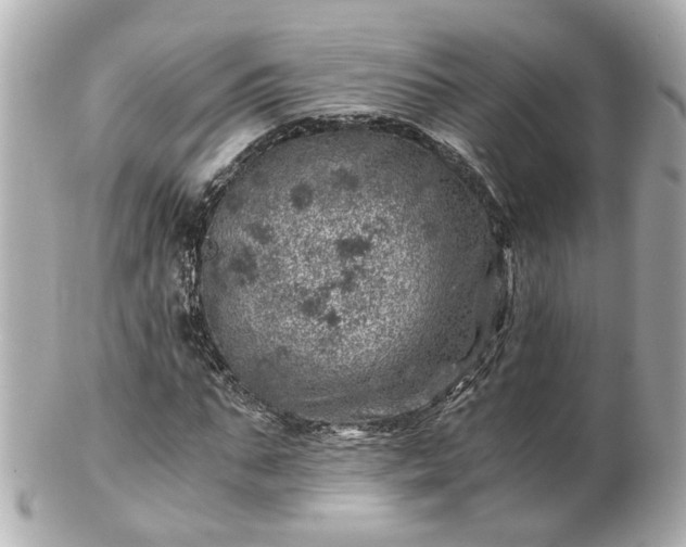 X0000100900871200807011218