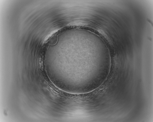 X0000100900872200807011218