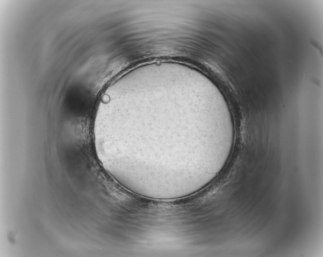 X0000100900873200807011218