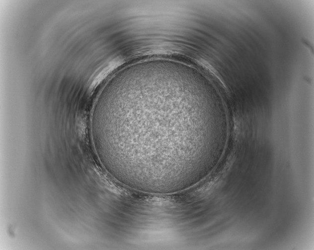 X0000100900874200807011218