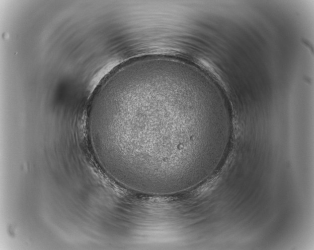 X0000100900875200807011218