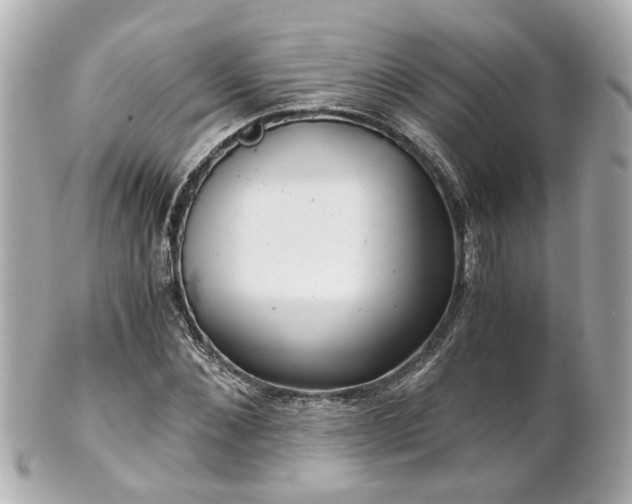 X0000100900876200807011218