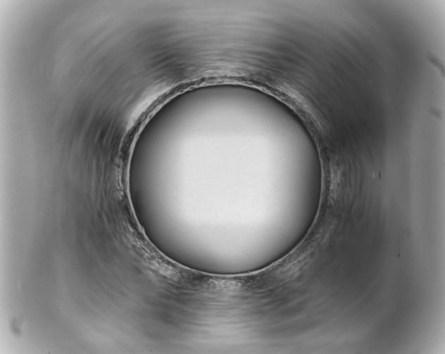 X0000100900878200807011218